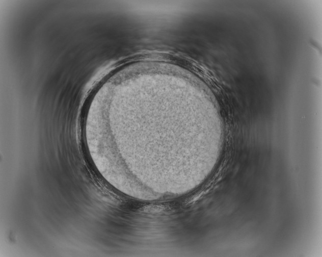 X0000096680294200803041246