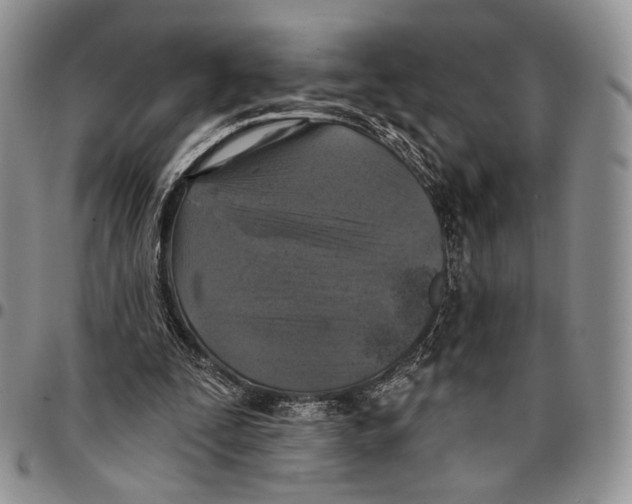 X0000096680295200803041246