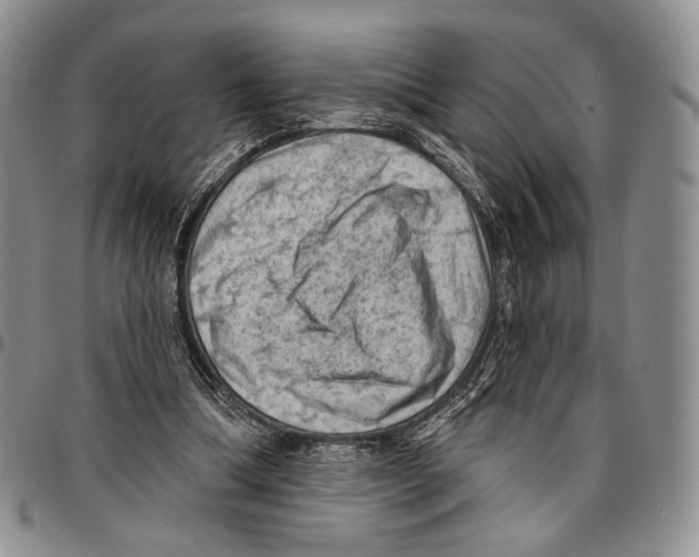 X0000096680298200803041246