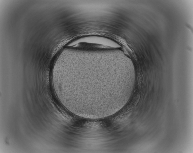X0000096680299200803041246