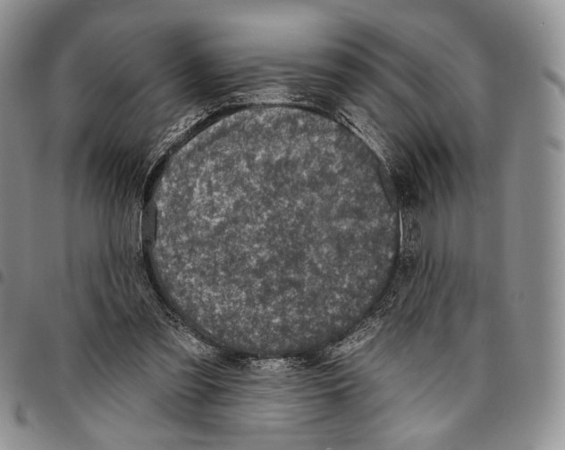 X0000096680301200803041246