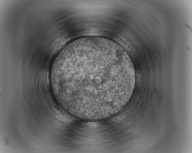 X0000096680302200803041246