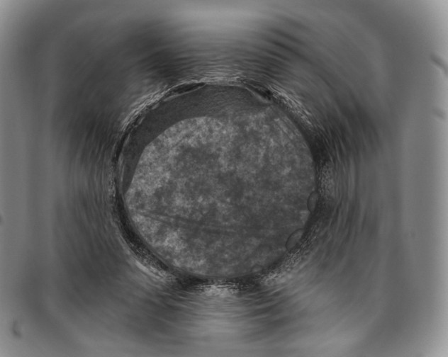 X0000096680303200803041246