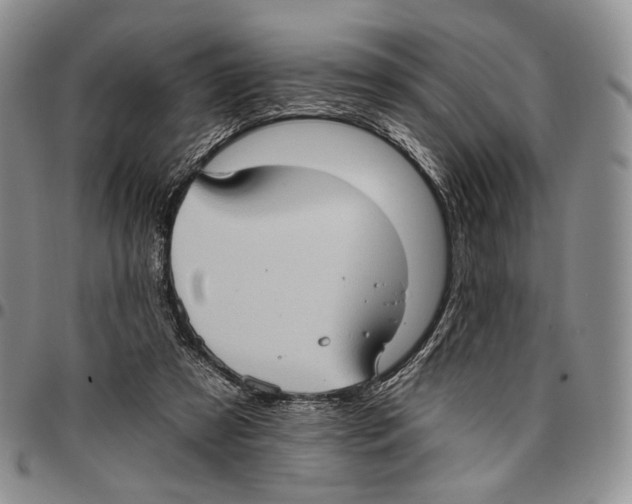 X0000096680305200803041246