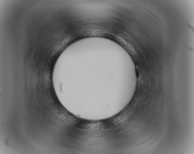 X0000096680306200803041246