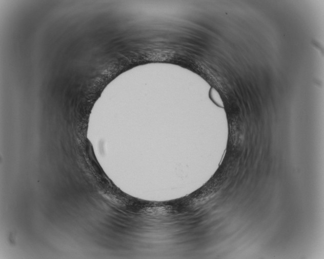 X0000096680307200803041246