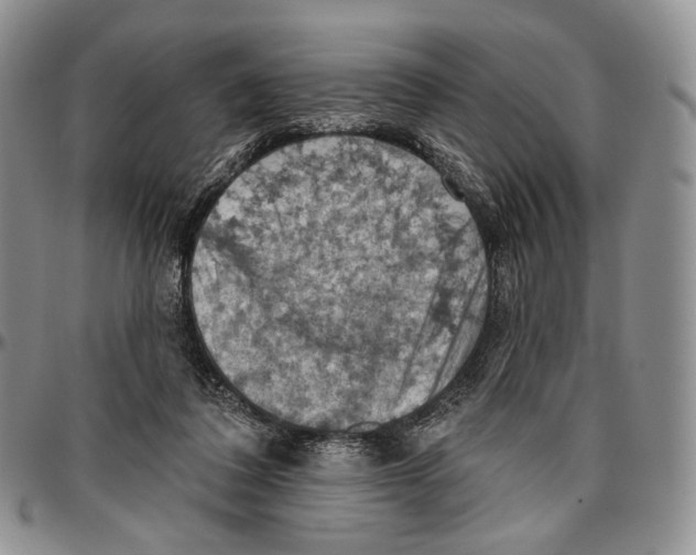 X0000096680308200803041246