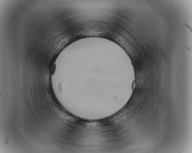 X0000096680309200803041246