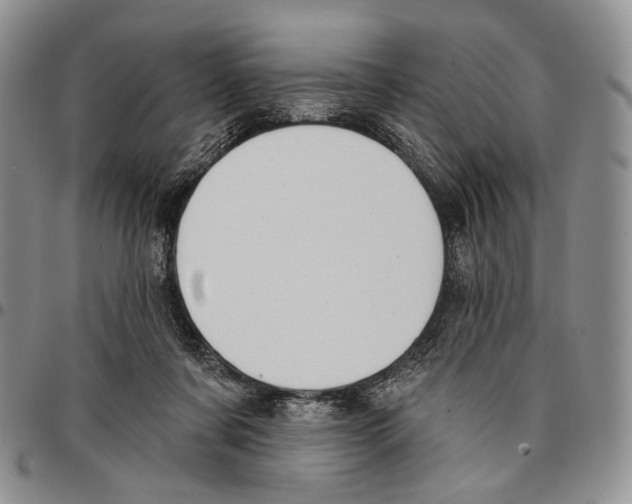 X0000096680311200803041246
