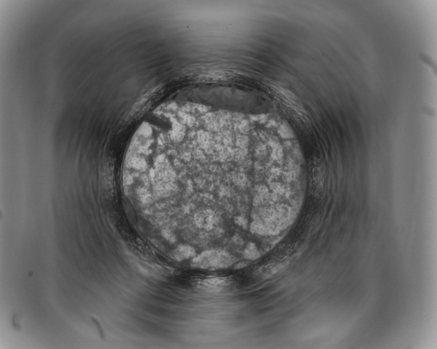 X0000096680312200803041246