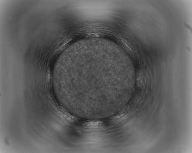 X0000096680314200803041246