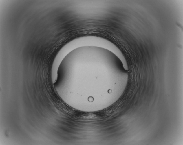 X0000096680316200803041246