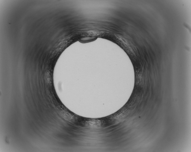 X0000096680317200803041246