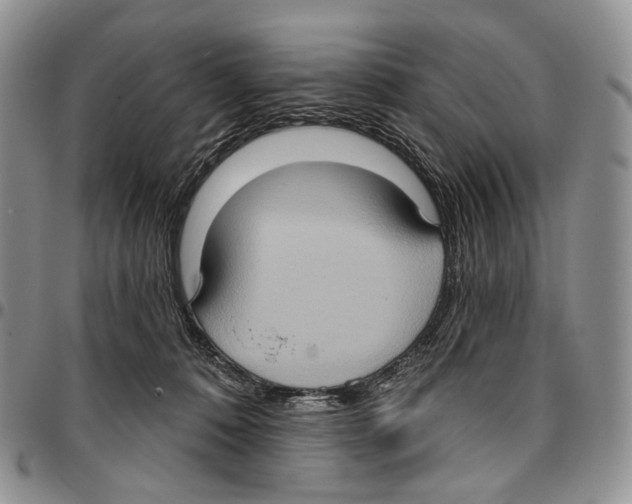 X0000096680320200803041246