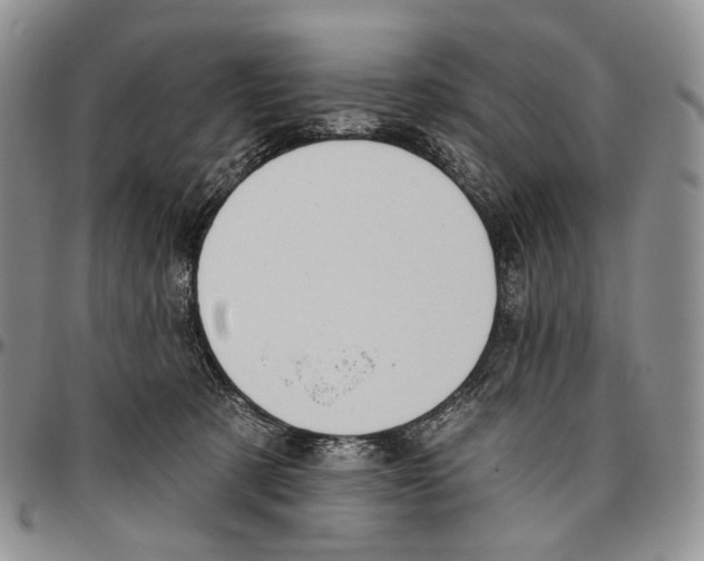X0000096680321200803041246