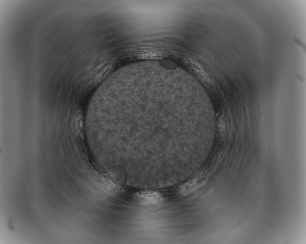 X0000096680322200803041246