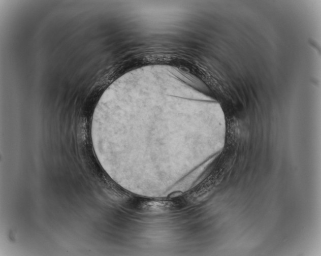 X0000096680323200803041246