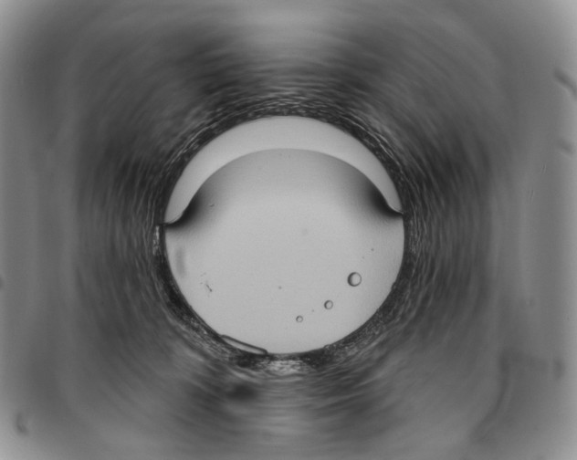 X0000096680324200803041246