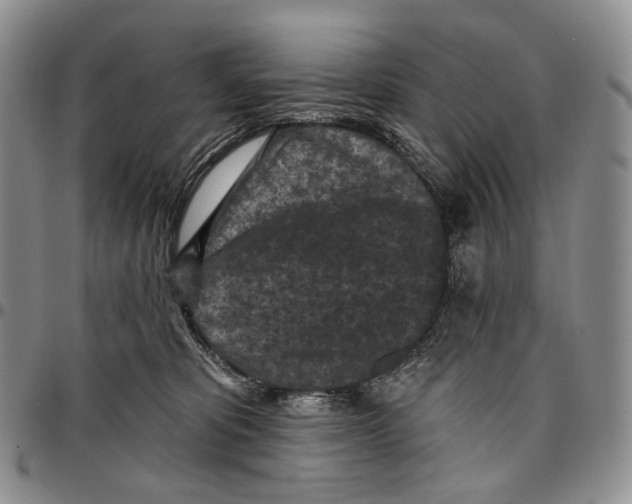 X0000096680325200803041246
