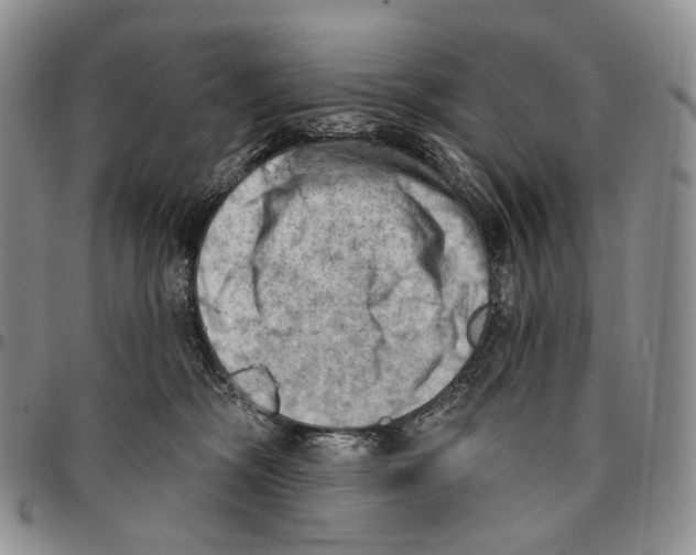 X0000096680326200803041246