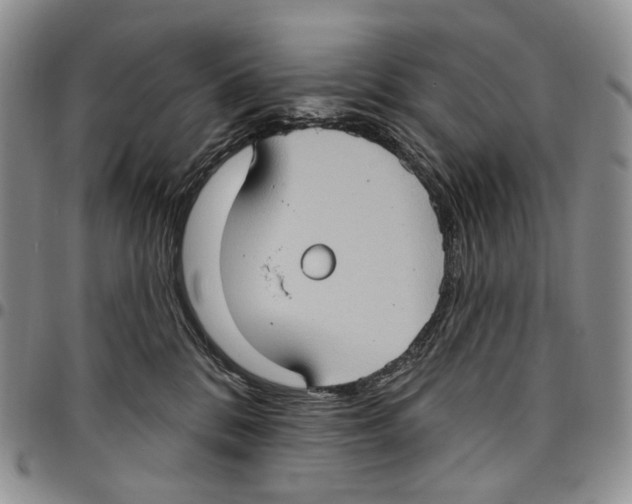 X0000096680328200803041246