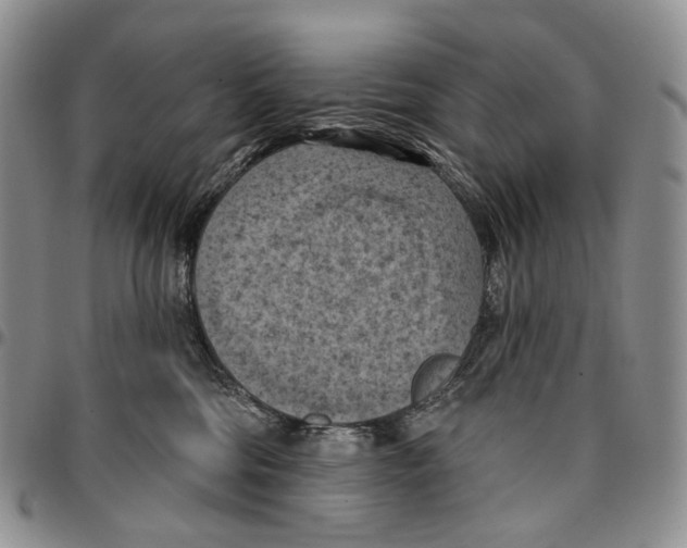 X0000096680330200803041246