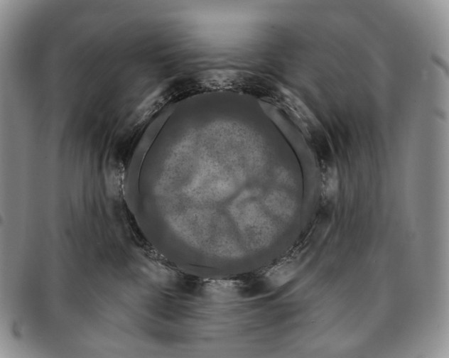 X0000096680332200803041246