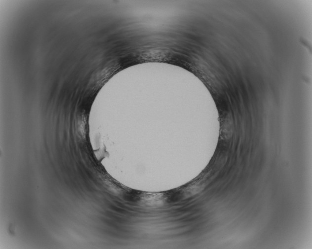 X0000096680334200803041245