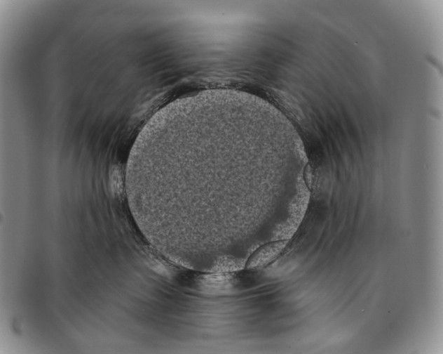 X0000096680335200803041245