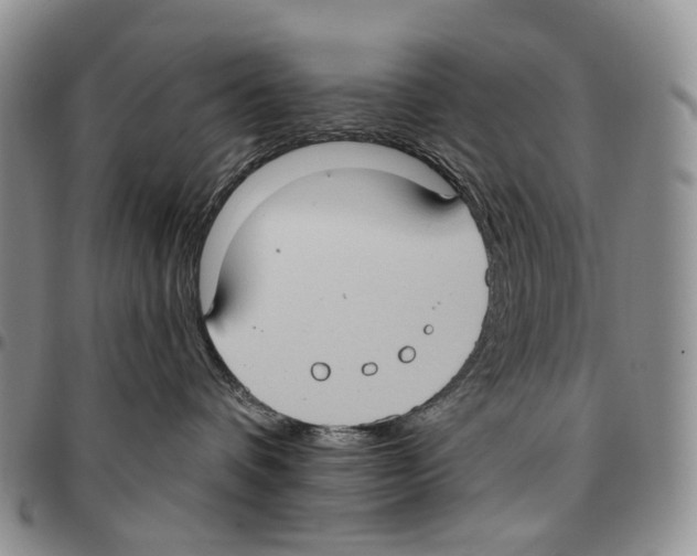 X0000096680336200803041245