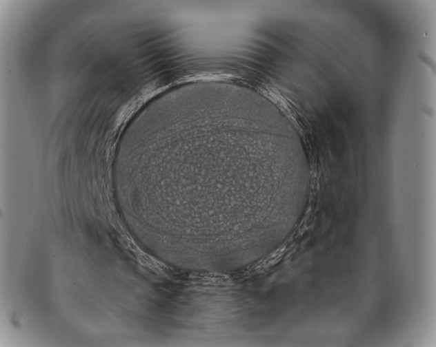 X0000096680337200803041245