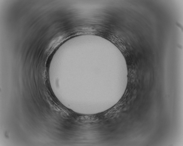 X0000096680338200803041245