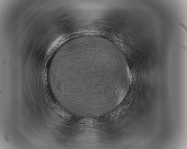 X0000096680339200803041245
