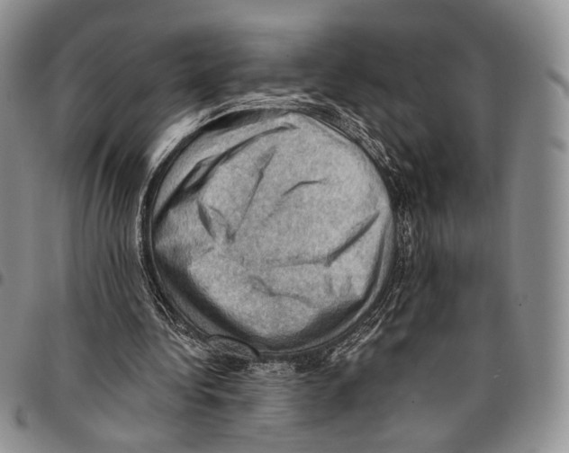X0000096680340200803041245