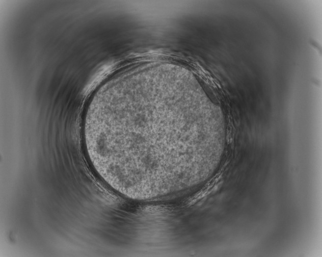 X0000096680341200803041245