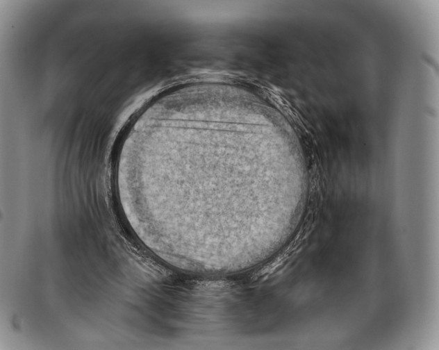 X0000096680342200803041245