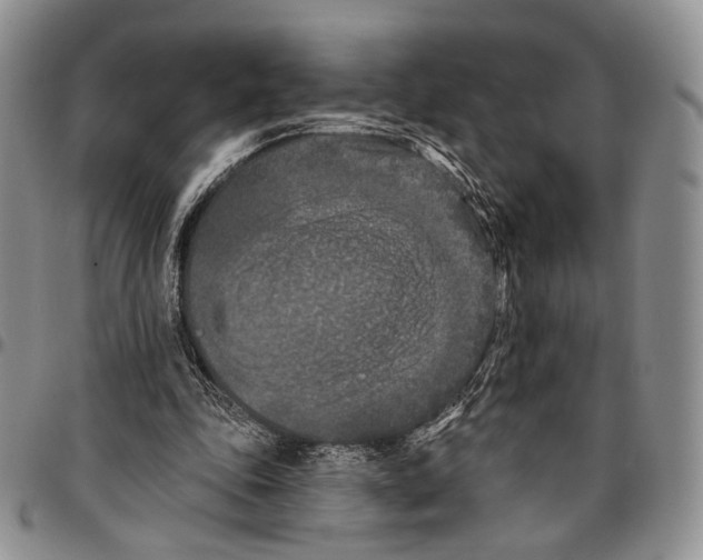 X0000096680343200803041245