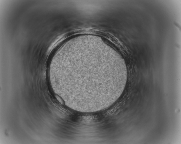 X0000096680344200803041245
