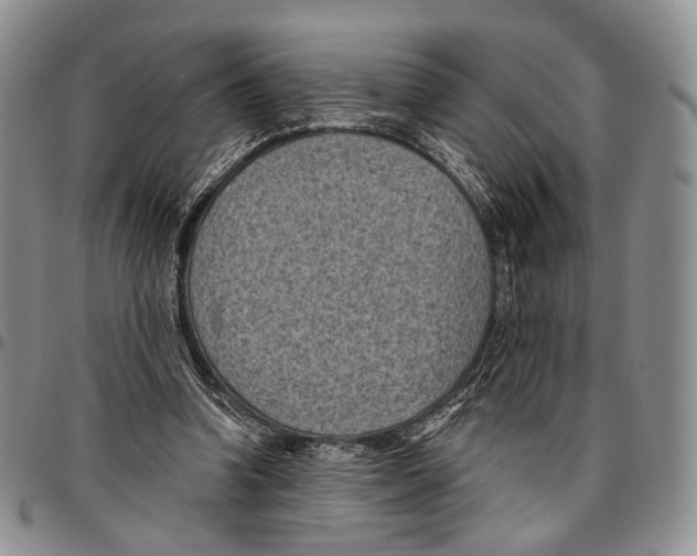 X0000096680346200803041245