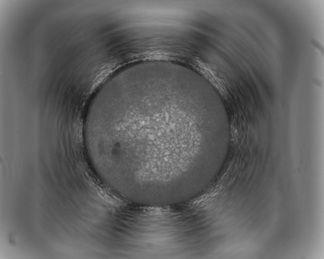 X0000096680347200803041245