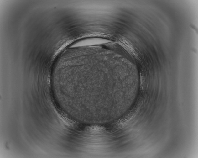 X0000096680348200803041245