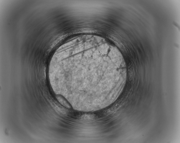 X0000096680350200803041245