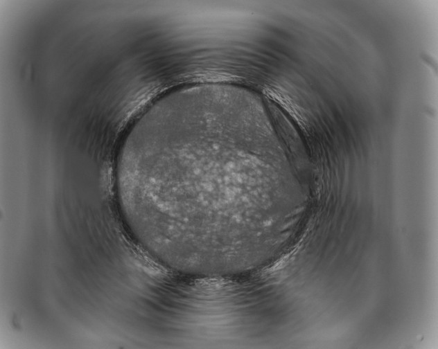 X0000096680351200803041245
