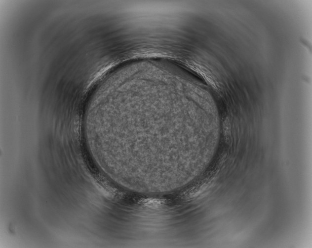 X0000096680352200803041245