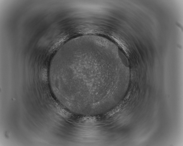 X0000096680353200803041245