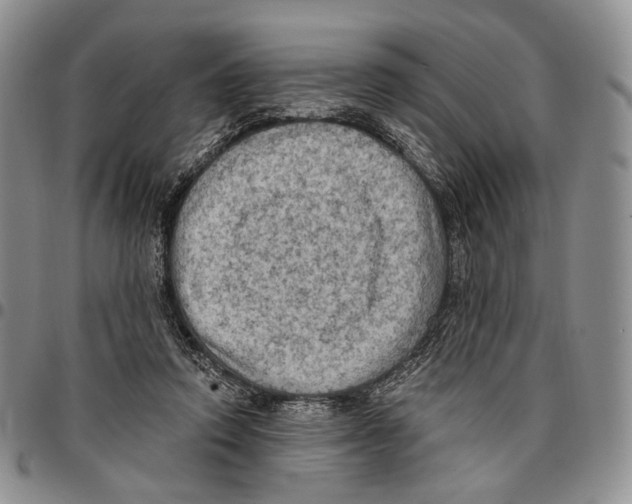X0000096680354200803041245