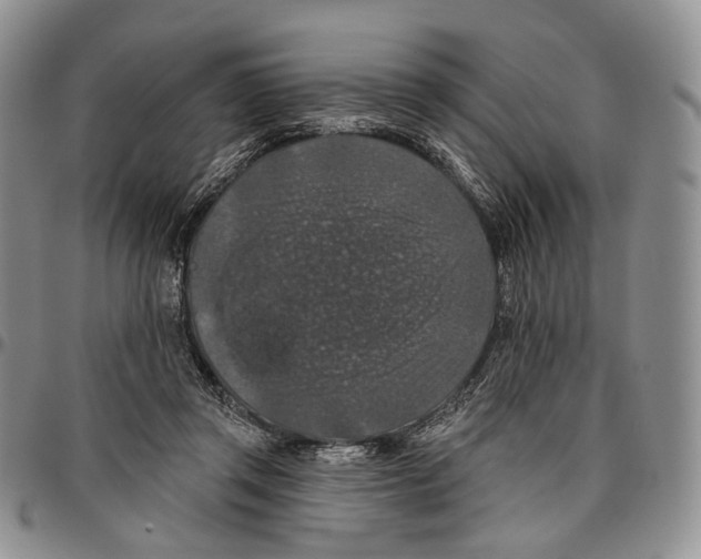 X0000096680357200803041245