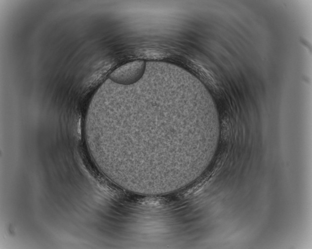 X0000096680358200803041245