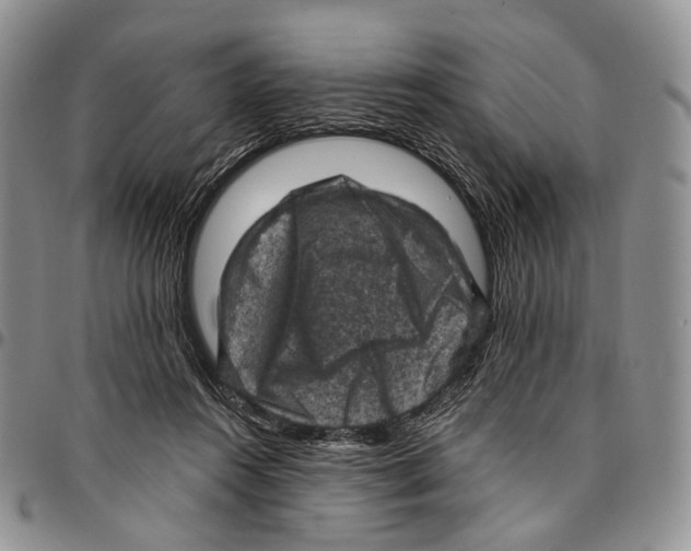 X0000096680360200803041245
