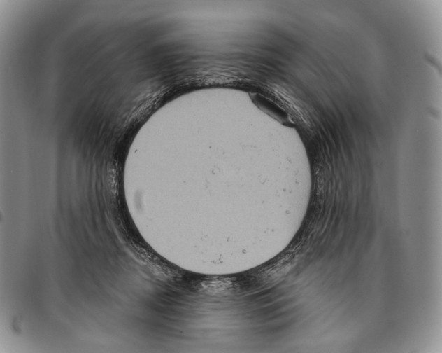 X0000096680362200803041245